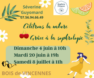 Sans titre (300 × 250 px) (1) (1) (1)