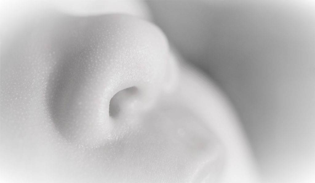 nose-g217b5e76f_1920