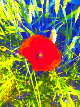 Haïku - SFS - Société Française de Sophrologie