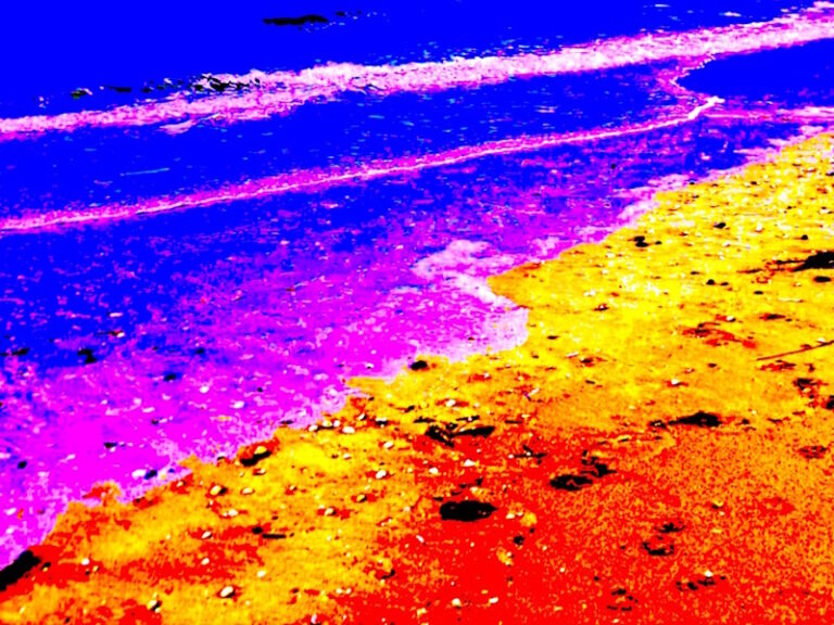 Méditation pleine conscience - SFS - Société Française de Sophrologie