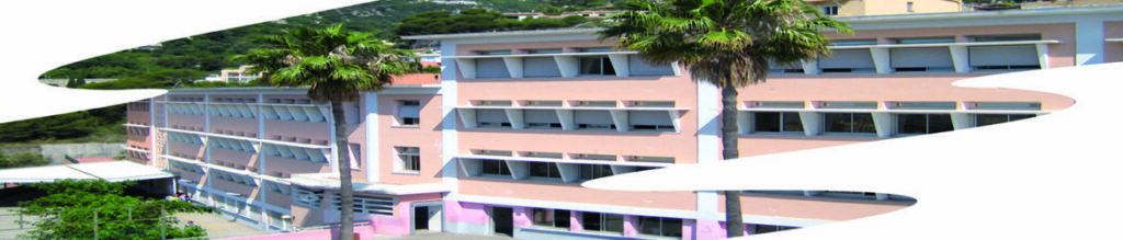 cropped-banner-bellevue-1170×250-1